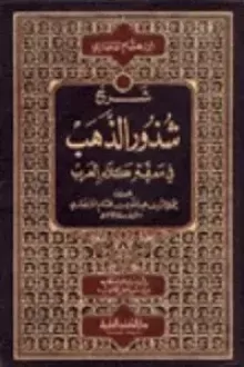 شرح شذور الذهب في معرفة كلام العرب